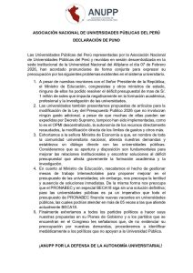 Declaración de Puno